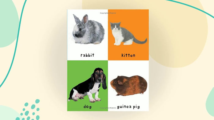 First 100 Animals: In the bestselling First 100 series - CharlottesWebTheChildrensBookStore.comCharlottesWebTheChildrensBookStore9780312510794