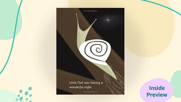 Little Owl's Night