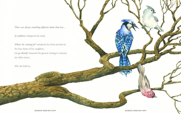 The Different Tree - CharlottesWebTheChildrensBookStore.comCharlottesWebTheChildrensBookStore9781478882206