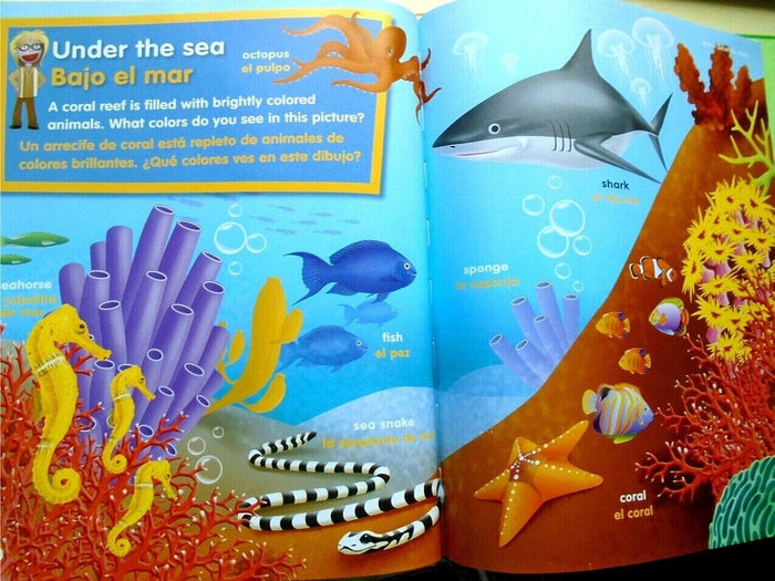 My Book of Colors - CharlottesWebTheChildrensBookStore.comCharlottesWebTheChildrensBookStore9780871975836
