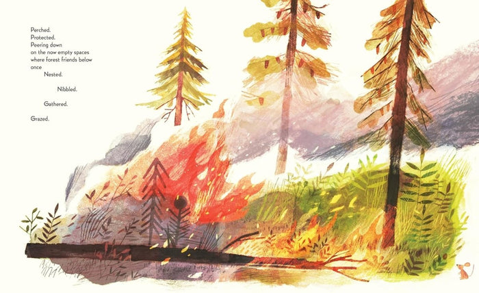 Pine Cone Regrown: How One Species Thrives After Fire - CharlottesWebTheChildrensBookStore.comCharlottesWebTheChildrensBookStore9781534112964