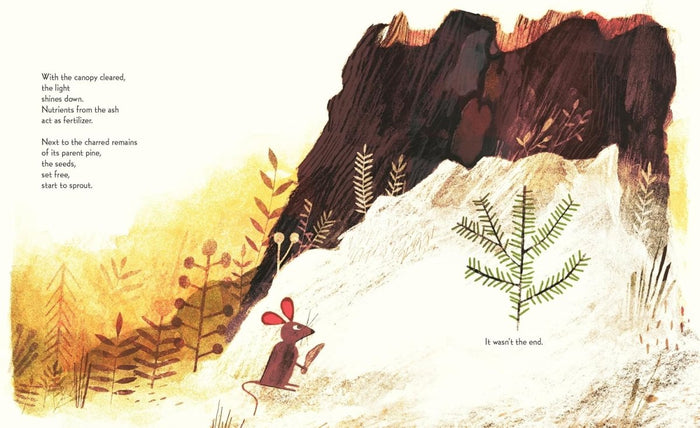 Pine Cone Regrown: How One Species Thrives After Fire - CharlottesWebTheChildrensBookStore.comCharlottesWebTheChildrensBookStore9781534112964