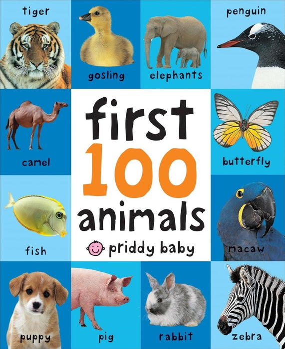 First 100 Animals: In the bestselling First 100 series - CharlottesWebTheChildrensBookStore.comCharlottesWebTheChildrensBookStore9780312510794