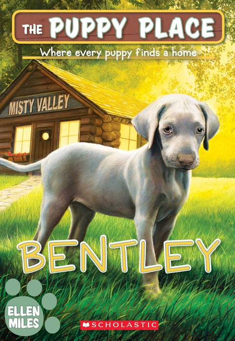 Bentley (The Puppy Place 53) (53) - CharlottesWebTheChildrensBookStore.comCharlottesWebTheChildrensBookStore9781338303025