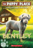 Bentley (The Puppy Place #53) (53)